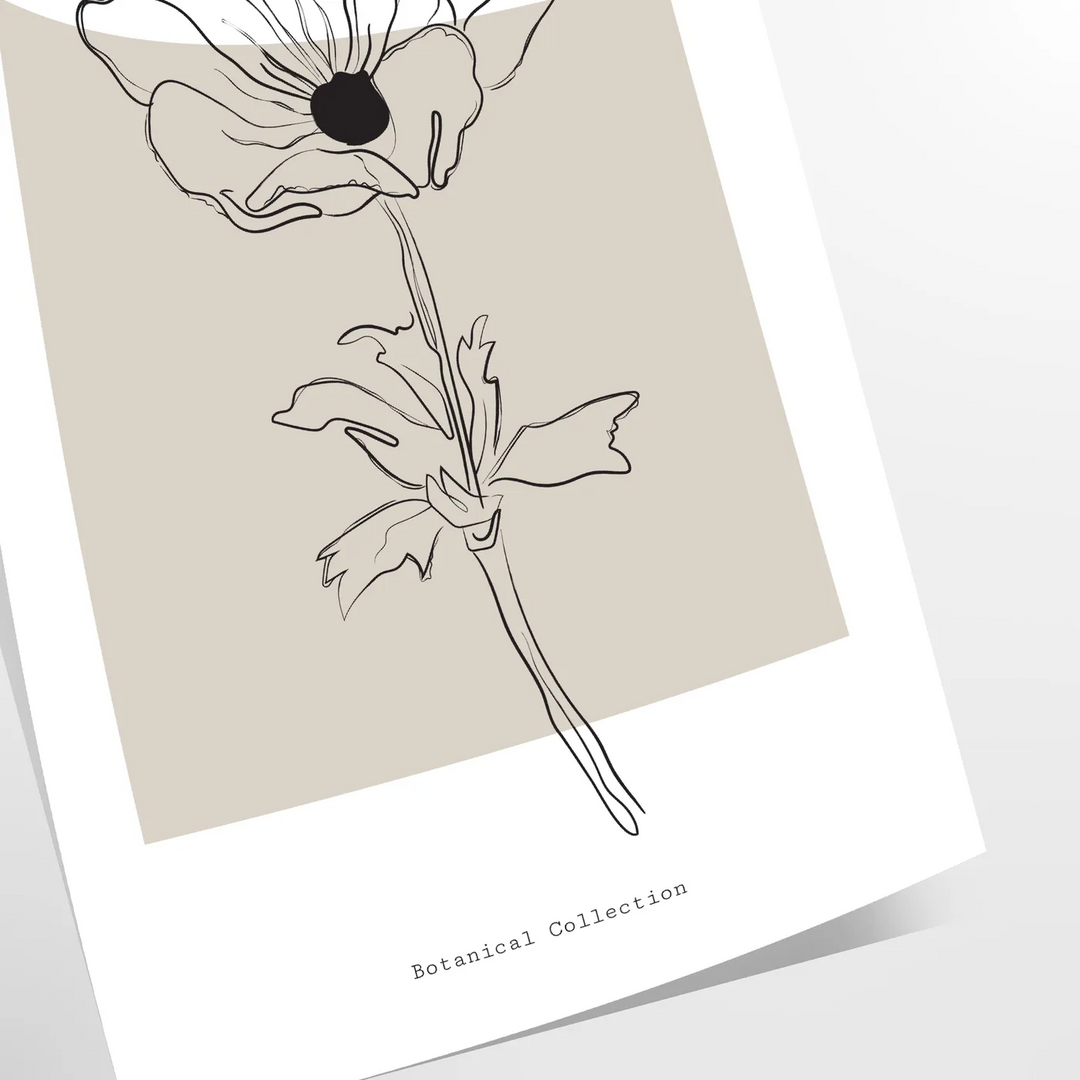 Exploring Flora Through Plant Illustration: A Visual Journey