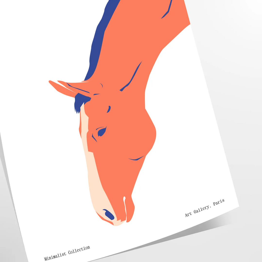 Discover the Fascinating Lives of Dolphins and Kangaroos