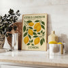 Citrus Limonum botanical poster vintage style lush green gray hues home decor prints timeless beauty sizes A4 cm A0