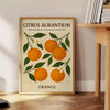 stunning vintage botanical poster Citrus Aurantium exquisite print vibrant green orange hues touch nature space sizes A4 cm A0 lovers
