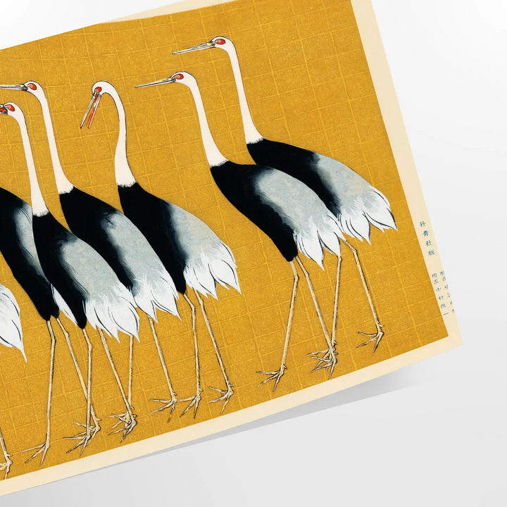 Bird Wildlife Print Travel Poster High Quality Frame Premium Print Home Decor Color