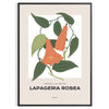 space captivating Flower Market Poster stunning blossom art vibrant orange gray hues wall unique gift artwork elegance charm sizes A4 cm A0