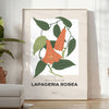 space captivating Flower Market Poster stunning blossom art vibrant orange gray hues wall unique gift artwork elegance charm sizes A4 cm A0