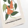 space captivating Flower Market Poster stunning blossom art vibrant orange gray hues wall unique gift artwork elegance charm sizes A4 cm A0
