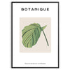 space vintage botanical prints poster charming wall art vibrant green blue hues elegance room unique artwork thoughtful gift sizes A4 cm A0 timeless today