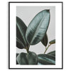 space vintage botanical photo poster lush green serene blue hues exquisite wall art perfect nature lovers thoughtful gift sizes A4 cm A0