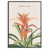 Poster space captivating vintage botanical posters stunning orange gray hues wall art thoughtful gift timeless prints nature elegance sizes A4 inches A0