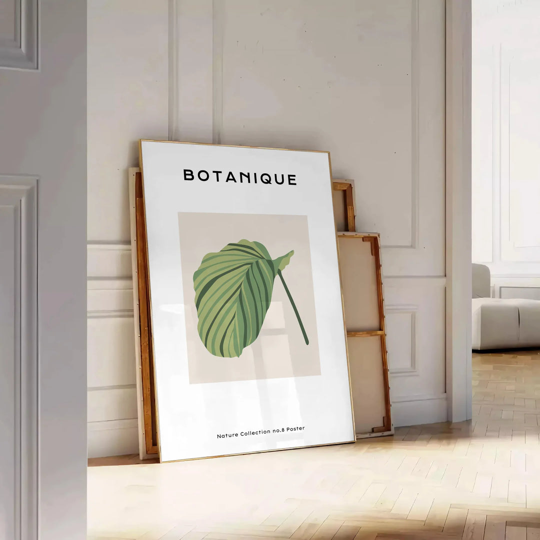 Botanical Art 8 Travel Poster High Quality Frame Premium Print Home Decor Color