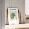 space vintage botanical prints poster charming wall art vibrant green blue hues elegance room unique artwork thoughtful gift sizes A4 cm A0 timeless today