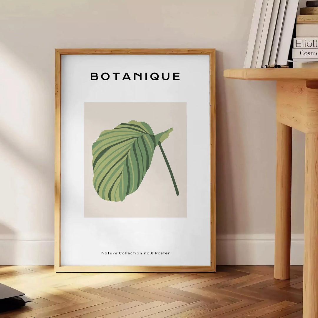 Botanical Art 8 Travel Poster High Quality Frame Premium Print Home Decor Color