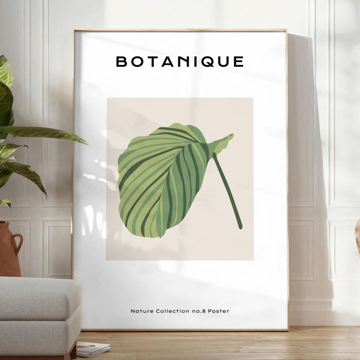 Botanical Art 8 Travel Poster High Quality Frame Premium Print Home Decor Color