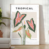 beauty botanical art Poster Maker stunning orange gray designs wall perfect gift nature lovers space exquisite prints available sizes such A4 cm A0