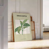 space exquisite botanical poster intricate 18th century art sophisticated gray green tones timeless elegance room thoughtful gift sizes A4 cm A0