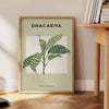 space exquisite botanical poster intricate 18th century art sophisticated gray green tones timeless elegance room thoughtful gift sizes A4 cm A0