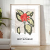 space Poster Botanical exquisite art 19th century eye wall vibrant orange soothing gray perfect gift A4 cm A0 sizes ideal decor
