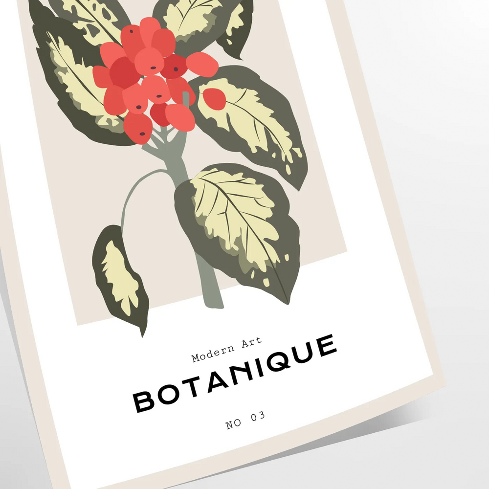 Botanical Art Print 19 Travel Poster High Quality Frame Premium Print Home Decor Color