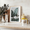 space vintage botanical photo poster lush green serene blue hues exquisite wall art perfect nature lovers thoughtful gift sizes A4 cm A0
