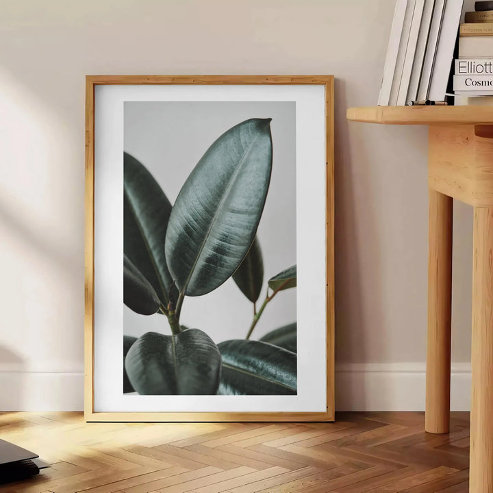 Botanical Photo Travel Poster High Quality Frame Premium Print Home Decor Color