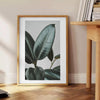 space vintage botanical photo poster lush green serene blue hues exquisite wall art perfect nature lovers thoughtful gift sizes A4 cm A0