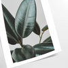 space vintage botanical photo poster lush green serene blue hues exquisite wall art perfect nature lovers thoughtful gift sizes A4 cm A0