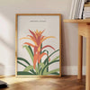 Poster space captivating vintage botanical posters stunning orange gray hues wall art thoughtful gift timeless prints nature elegance sizes A4 inches A0