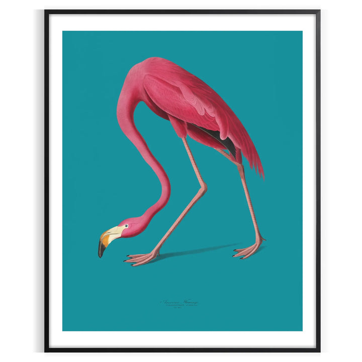 Art animalier flamant rose 