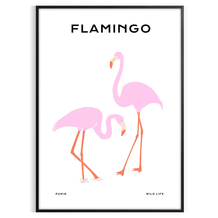 Flamant rose Poster 