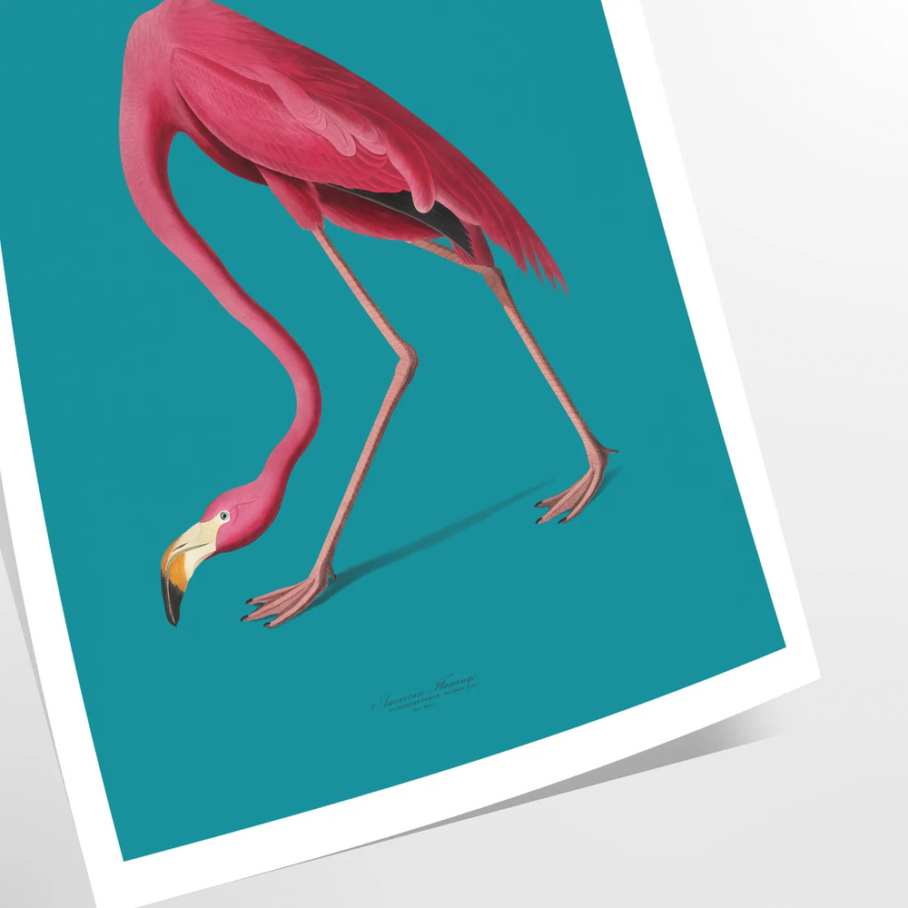 Flamingo Animal Art Travel Poster High Quality Frame Premium Print Home Decor Color