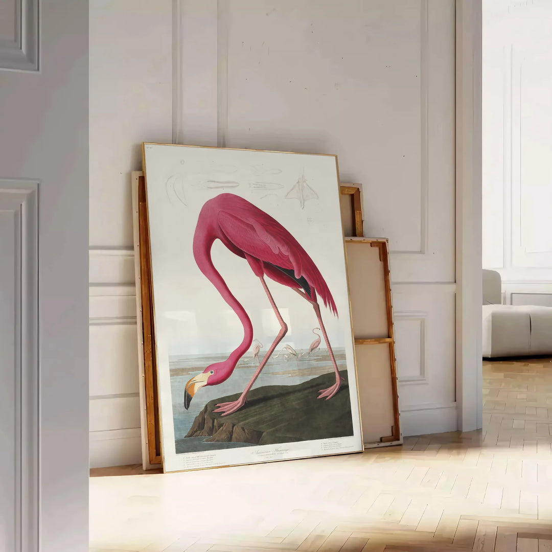 Flamingo Wildlife Print 1 Travel Poster High Quality Frame Premium Print Home Decor Color