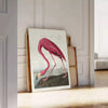 space enchanting Flamingo Wildlife poster elegant flamingos serene gray green backdrop exquisite wall art perfect gift nature lovers home stunning print available