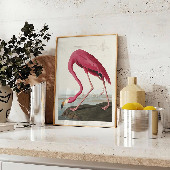 Flamingo Wildlife Print 1 Travel Poster High Quality Frame Premium Print Home Decor Color