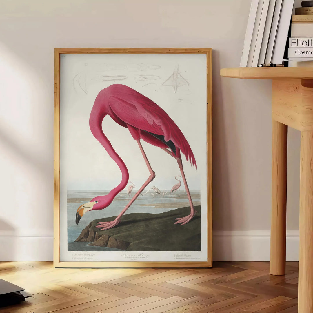 Flamingo Wildlife Print 1 Travel Poster High Quality Frame Premium Print Home Decor Color