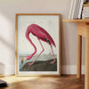 space enchanting Flamingo Wildlife poster elegant flamingos serene gray green backdrop exquisite wall art perfect gift nature lovers home stunning print available