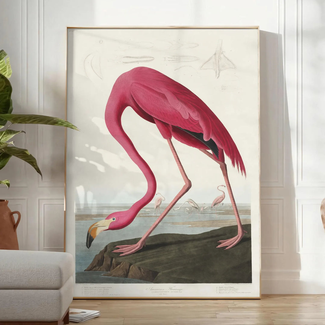 Flamingo Wildlife Print 1 Travel Poster High Quality Frame Premium Print Home Decor Color