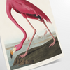 space enchanting Flamingo Wildlife poster elegant flamingos serene gray green backdrop exquisite wall art perfect gift nature lovers home stunning print available
