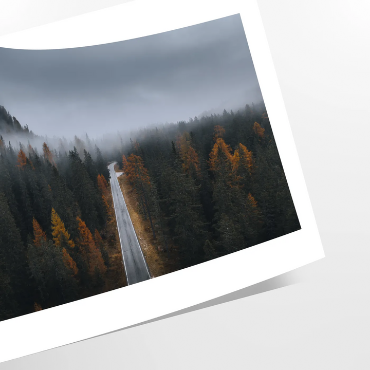 Forest Photo Travel Poster High Quality Frame Premium Print Home Decor Color