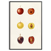 kitchen vibe 65 Art Poster gray yellow eye wall perfect gift contemporary flair space unframed options ideal home decor
