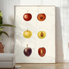 kitchen vibe 65 Art Poster gray yellow eye wall perfect gift contemporary flair space unframed options ideal home decor