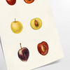 kitchen vibe 65 Art Poster gray yellow eye wall perfect gift contemporary flair space unframed options ideal home decor