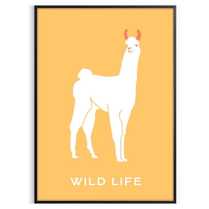 Lama Animal Poster 