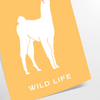space vibrant llama poster playful design lively orange yellow hues captivating wall art unique gift splash joy room sizes A4 cm A0