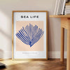 vibrant world ocean wildlife stunning poster mesmerizing blend orange blue hues splash color room artwork unique gift unframed versions