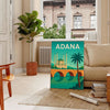 Adana city poster in green and blue, minimalist skyline illustration